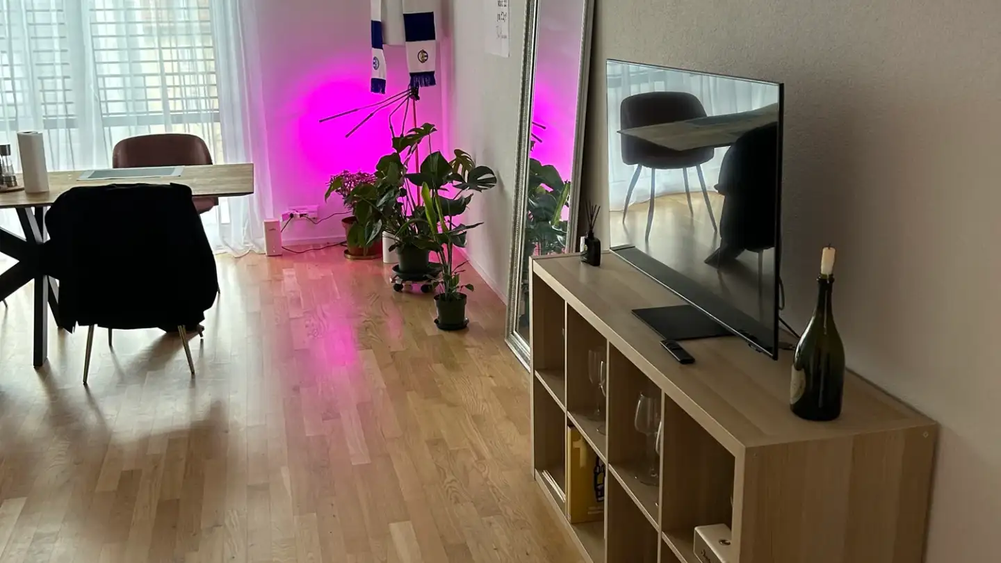 Apartment for rent - Schaffhauserstrasse 453, 8052 Zürich