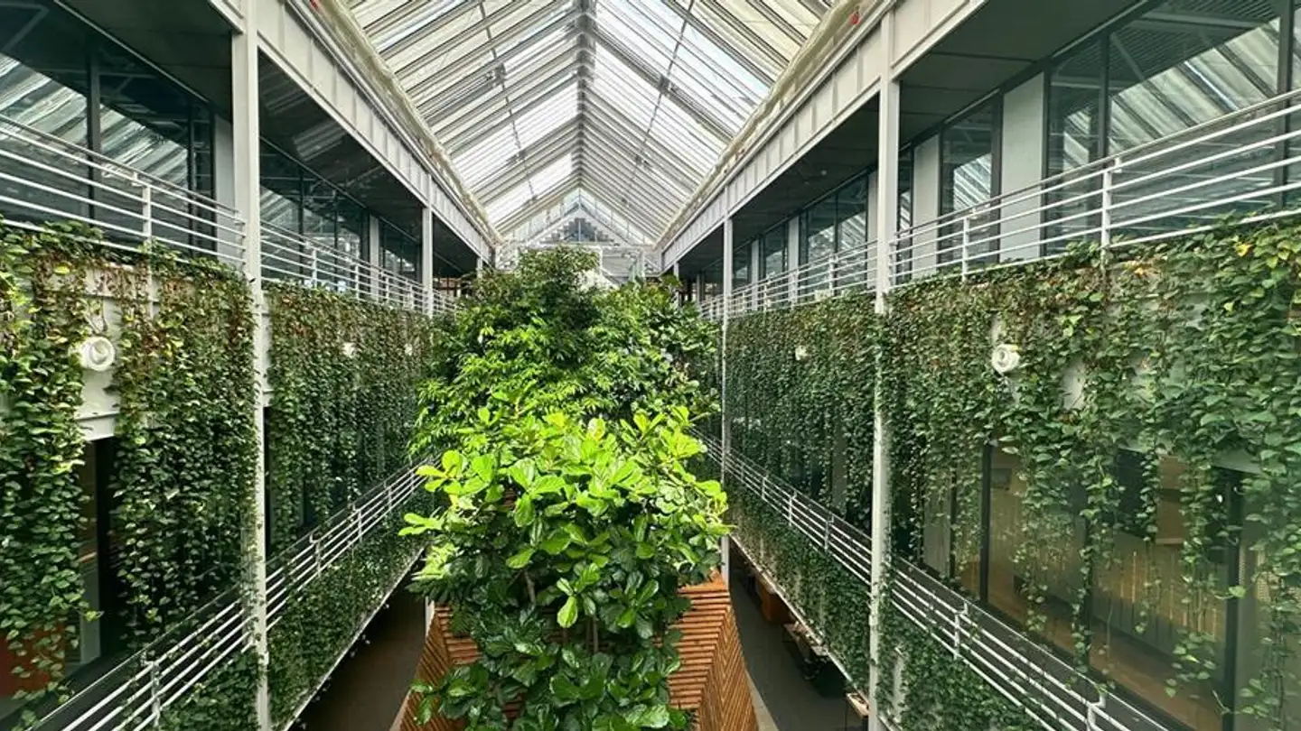 Shop for rent - Chemin De-La-Montagne 136, 1224 Chêne-Bougeries - Photo 4