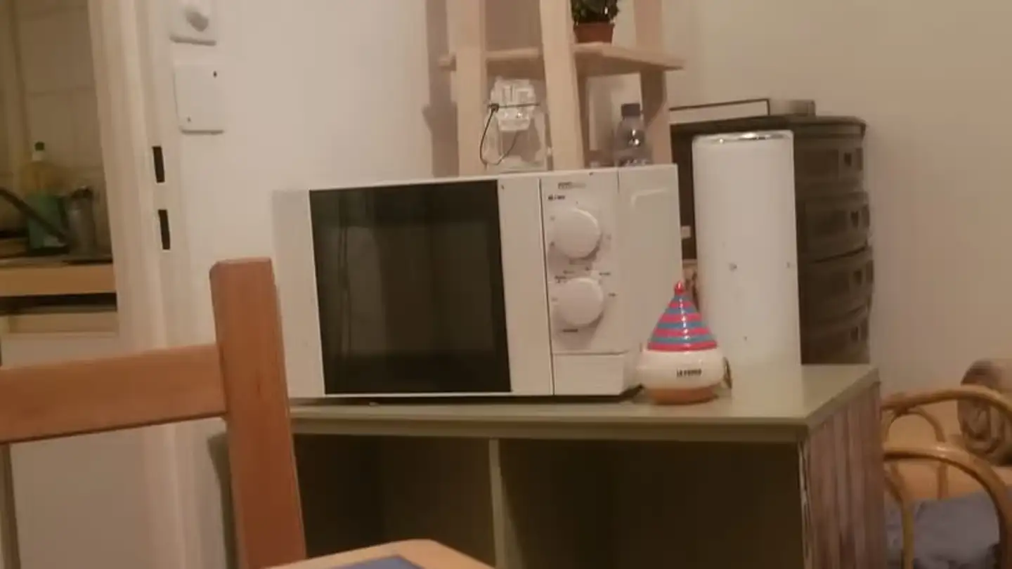 Appartement à louer - Rue Gabrielle- Perret-Gentil 4, 1205 Genève - Photo 4