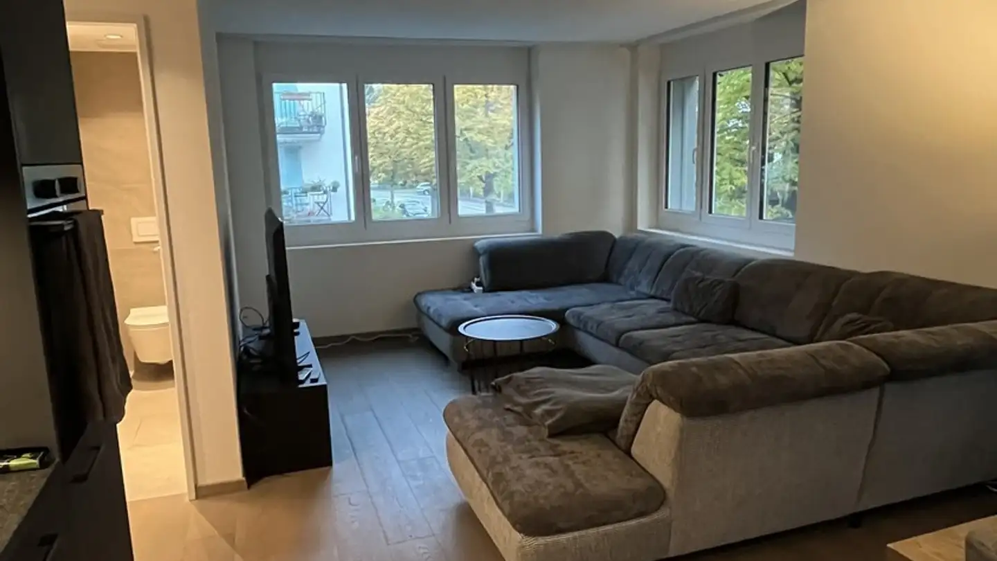 Appartement à louer - Triemlistrasse 95, 8047 Zürich