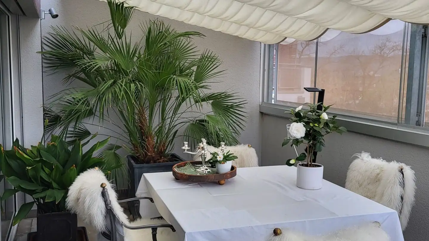 Terrassenwohnung mieten - Terrassenstrasse 17b, 5312 Döttingen - Foto 3