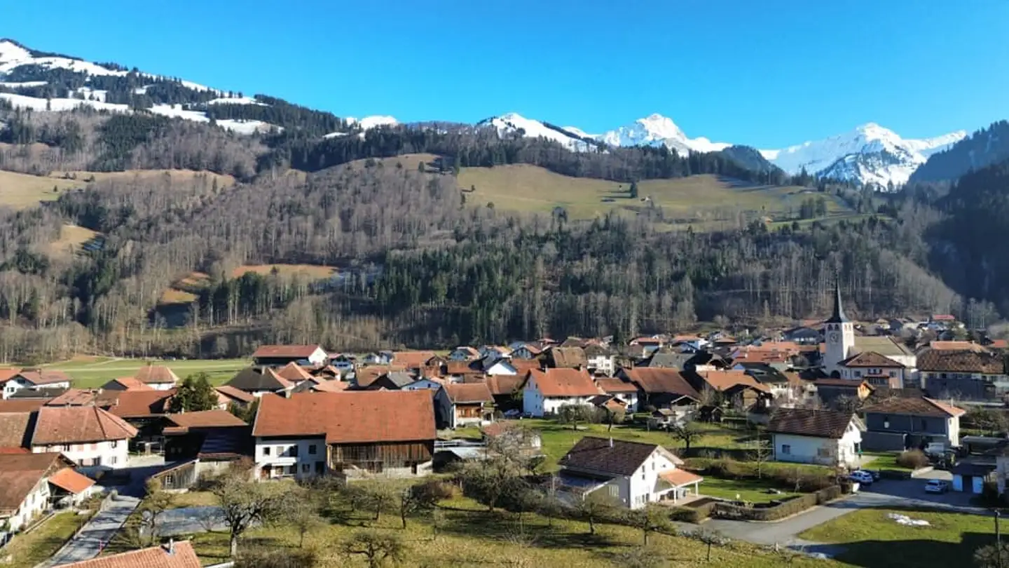 Wohnung kaufen - 1666 Grandvillard - Foto 2