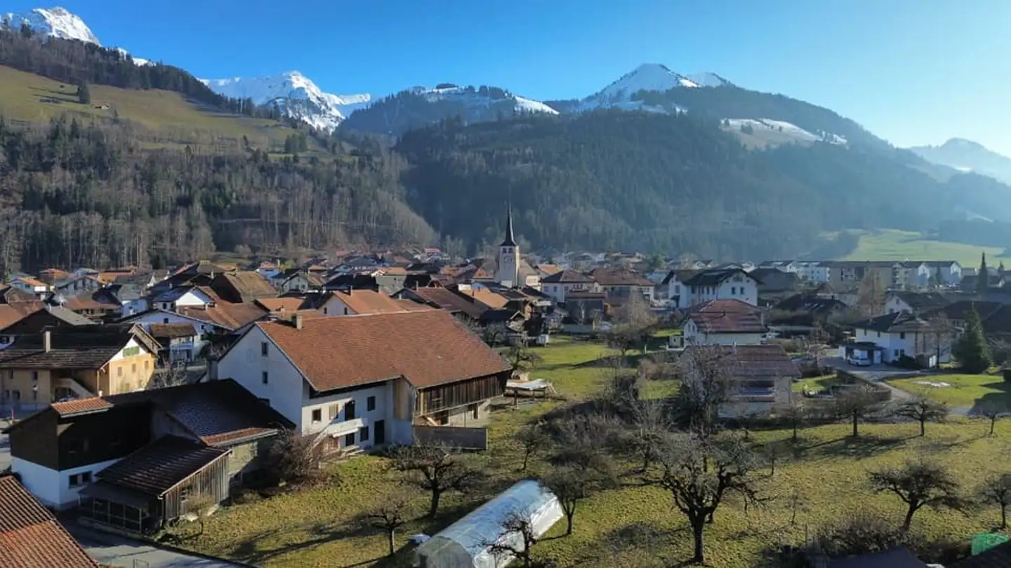 Wohnung kaufen - 1666 Grandvillard - Foto 4