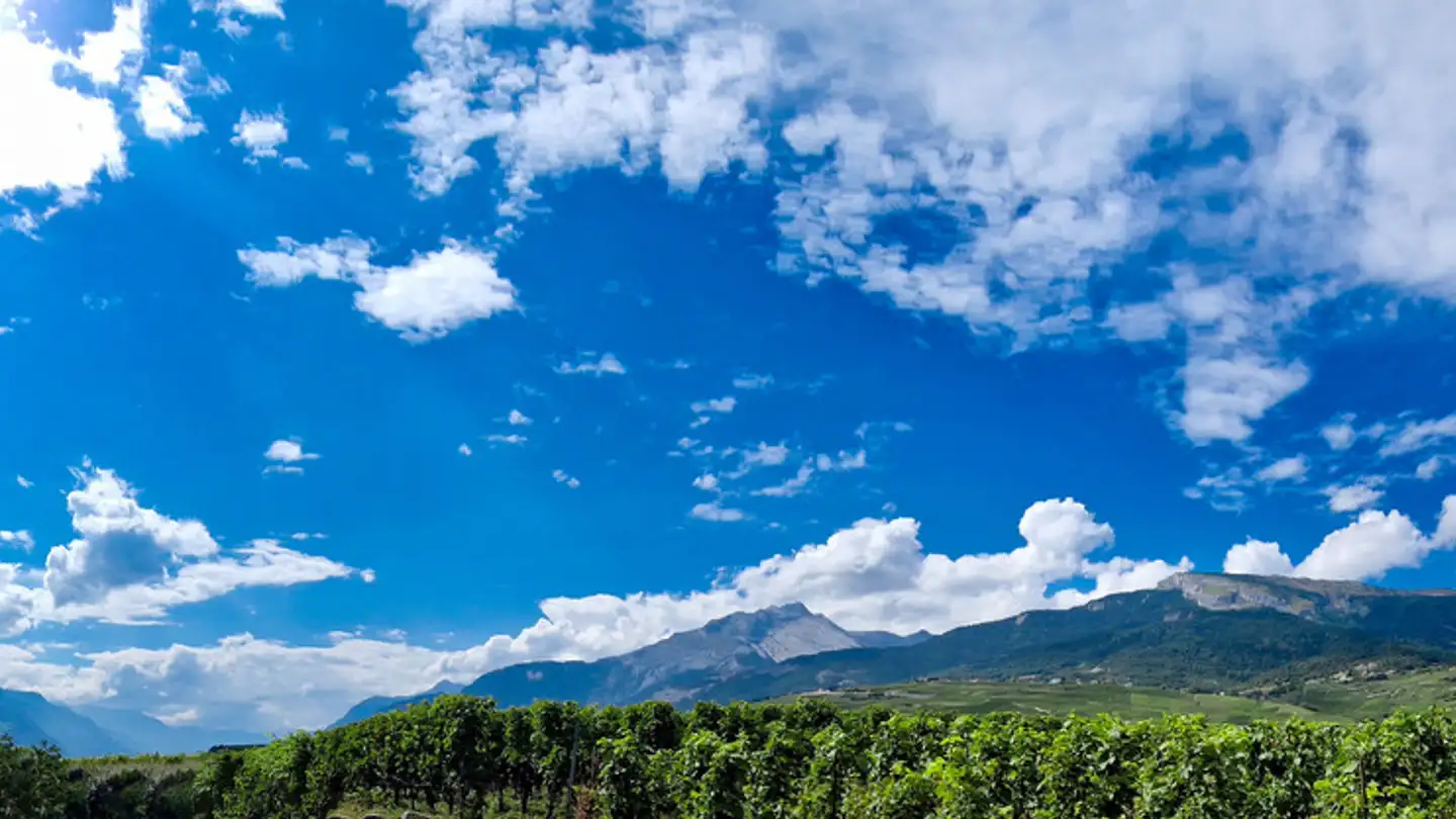 Terreno edificabile in vendita - 1965 Savièse - Photo 2