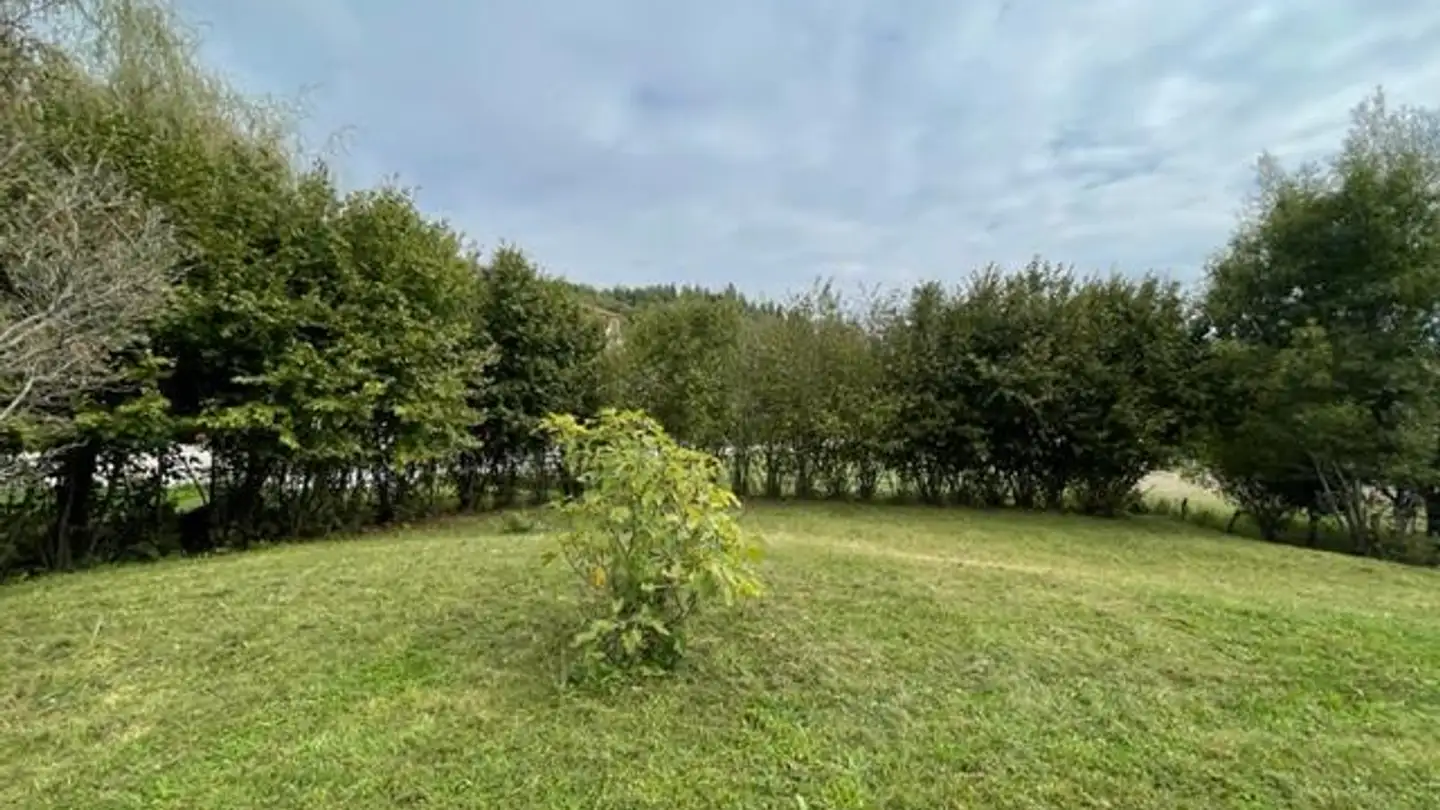 Terreno edificabile in vendita - 6936 Cademario - Photo 3