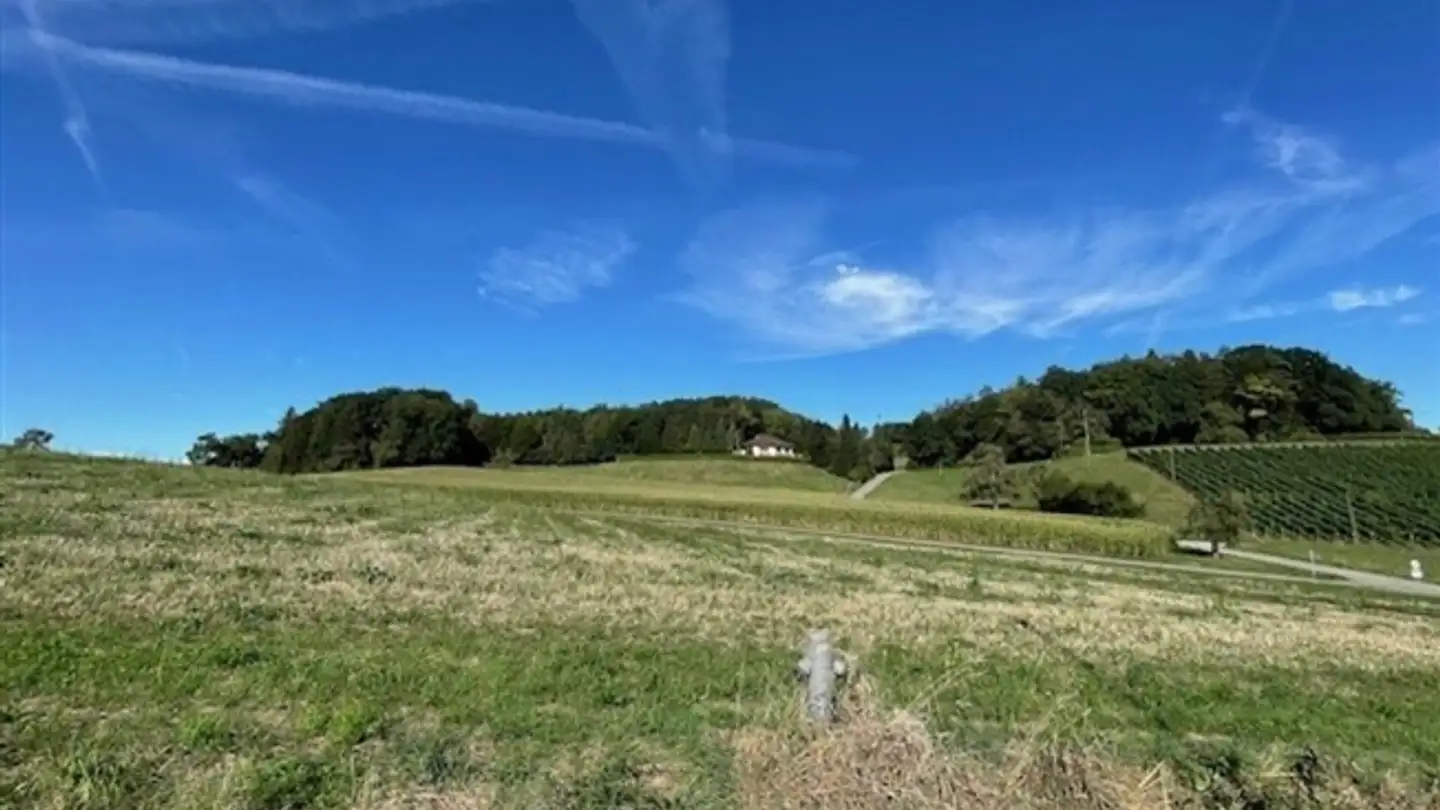 Casa singola in affitto - Sonnenbergstrasse 5, 8542 Wiesendangen - Photo 2