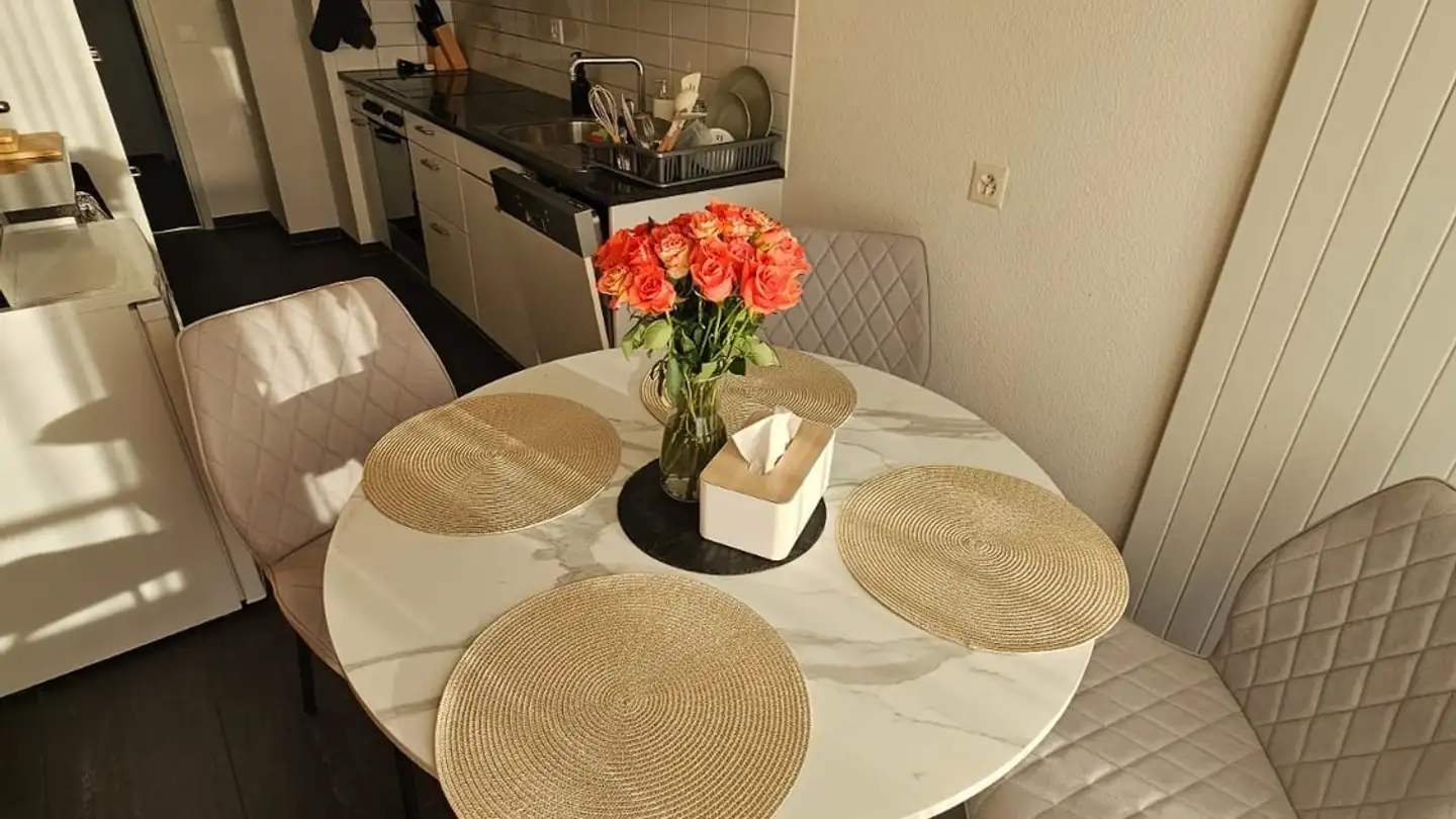 Appartamento in affitto - 8953 Dietikon