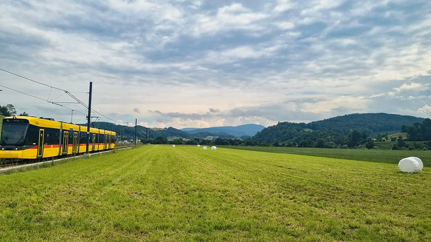 Einfamilienhaus kaufen - 4410 Liestal