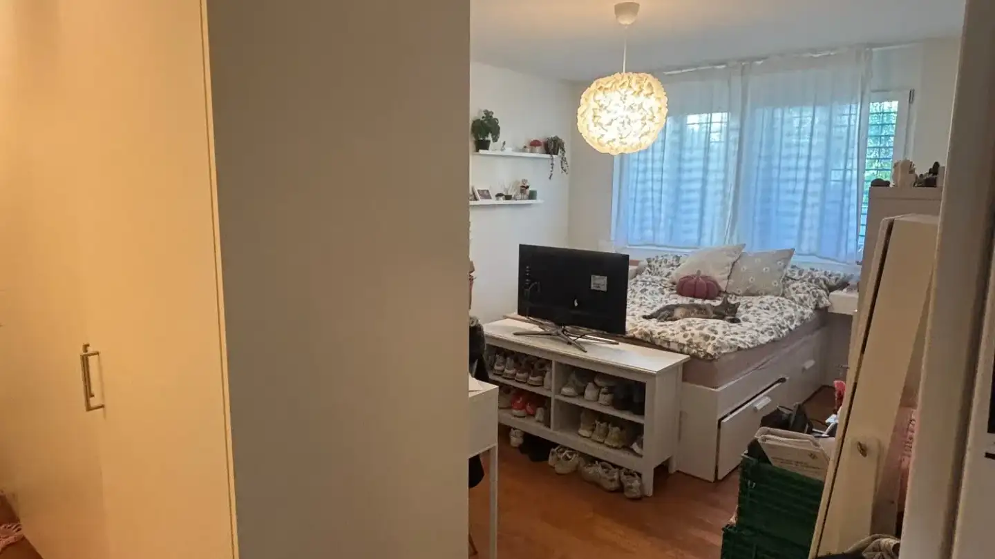 Apartment for rent - Badenerstrasse 10c, 8104 Weiningen ZH - Photo 4