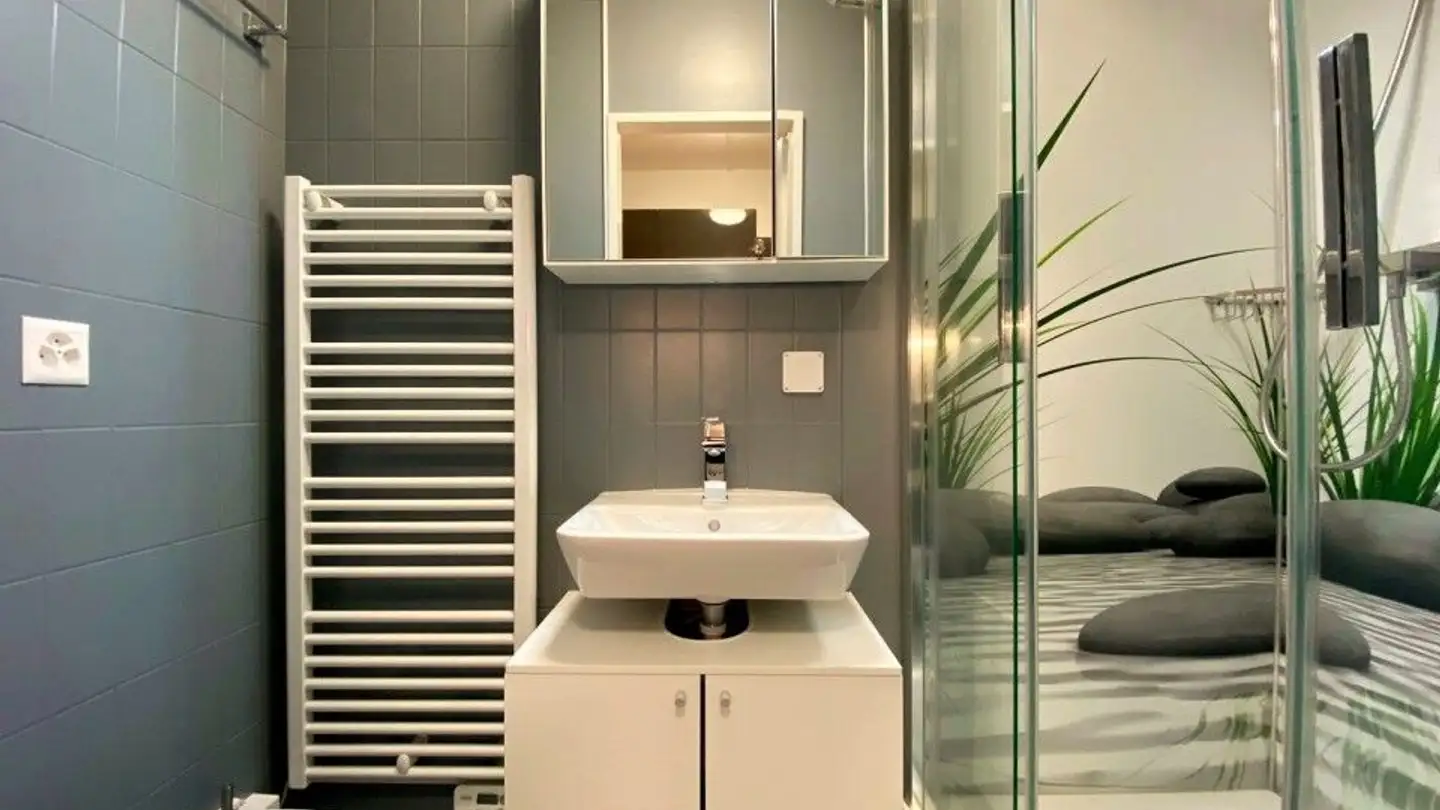 Appartement meublé à louer - 1260 Nyon - Photo 4