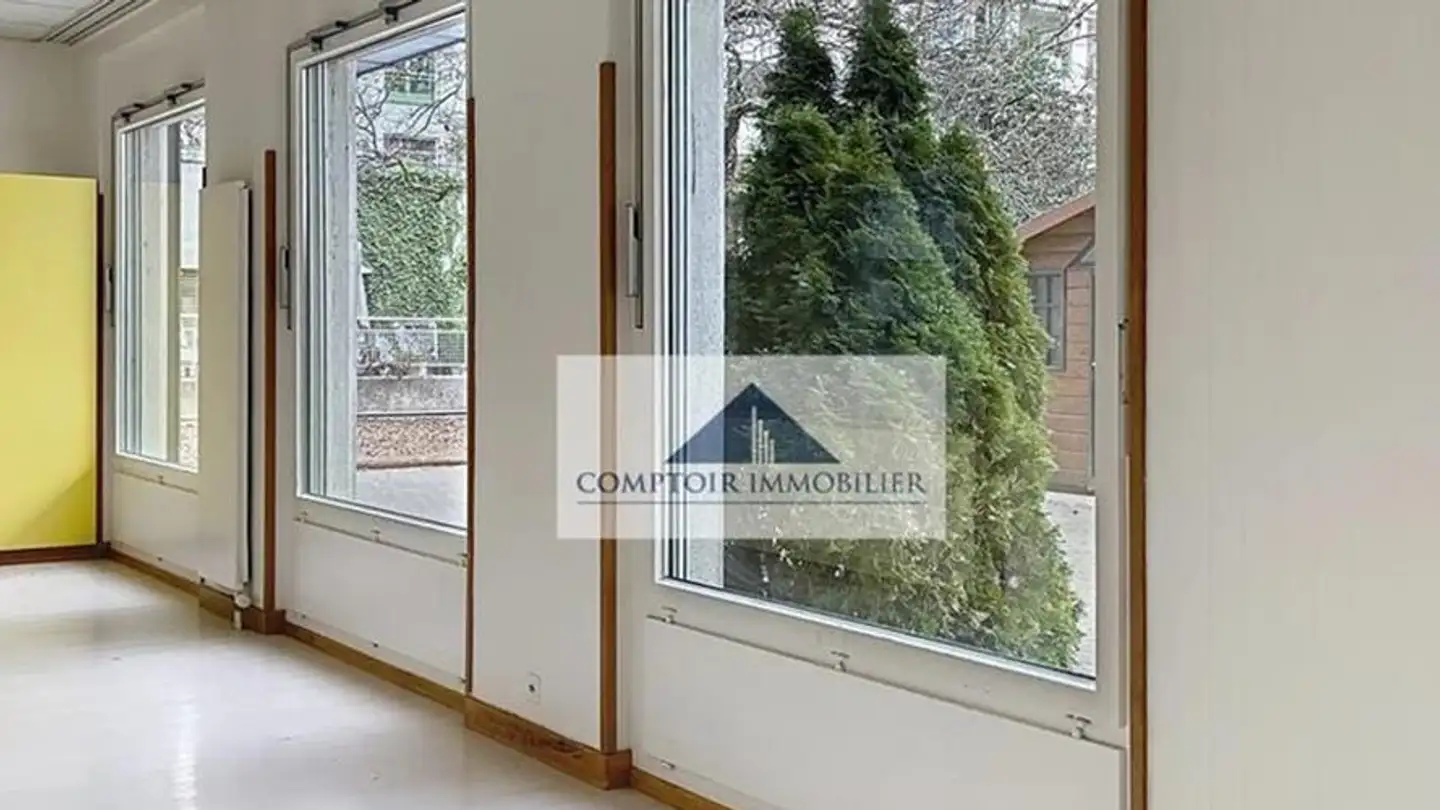 Geschäft mieten - Rue De Montbrillant 78, 1202 Genève