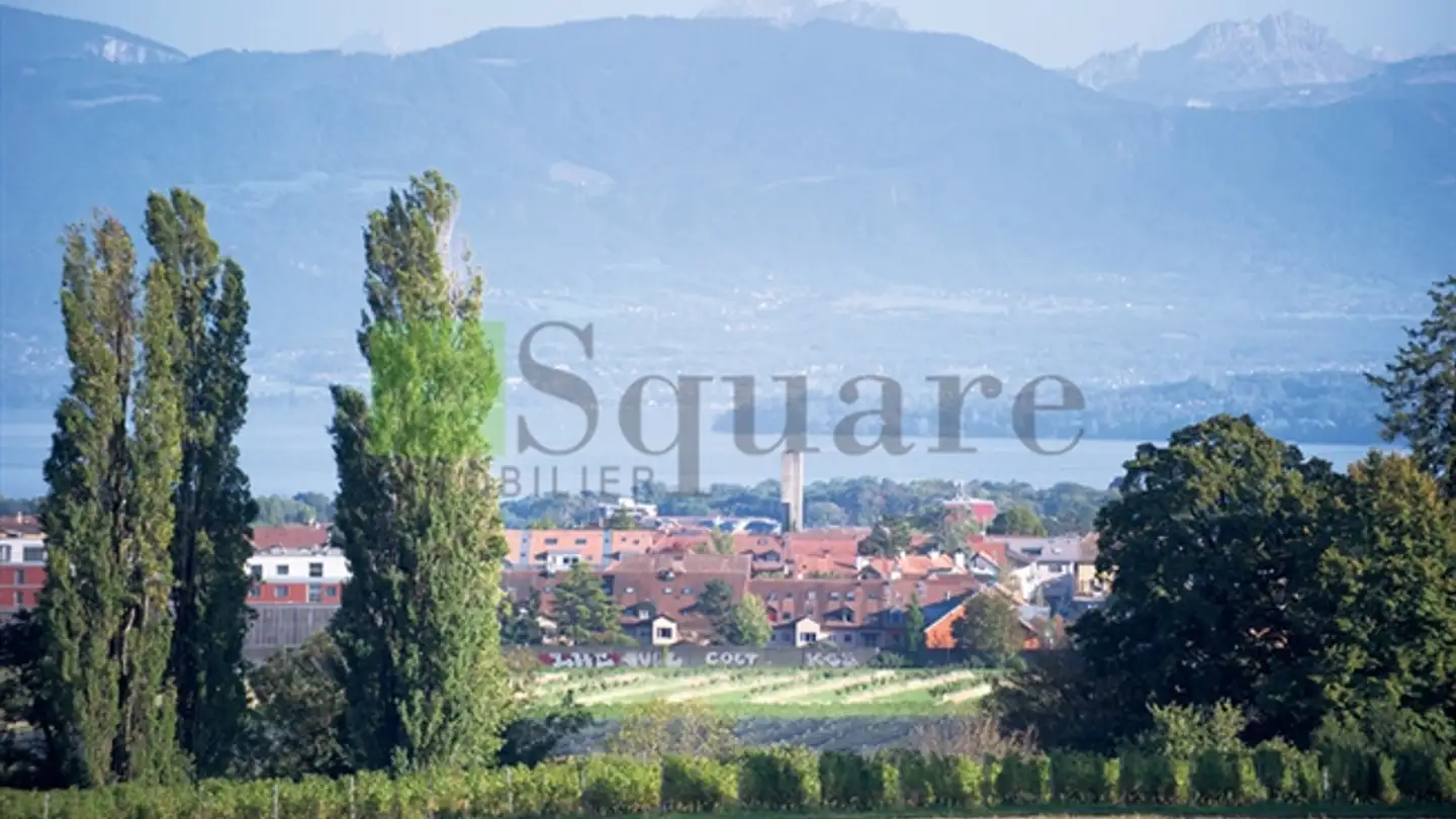Bürofläche kaufen - Rue De L'abbaye, 1196 Gland