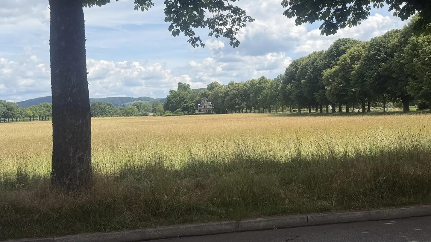 Apartment for rent - Allmendstrasse 20, 4058 Basel - Photo 4