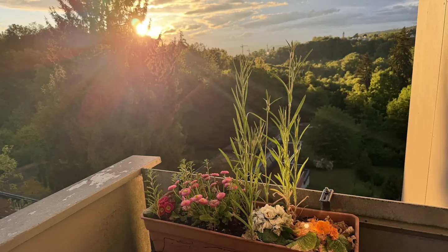 Wohnung mieten - Trichtenhauser Strasse 29, 8125 Zollikerberg - Foto 3