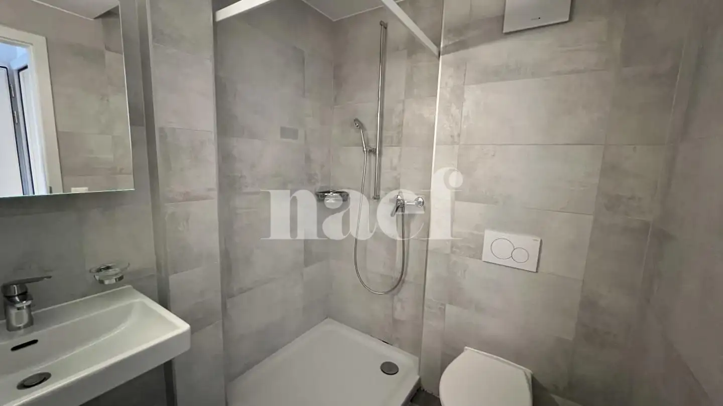 Appartamento in affitto - Rue De La Sionge 44, 1630 Bulle
