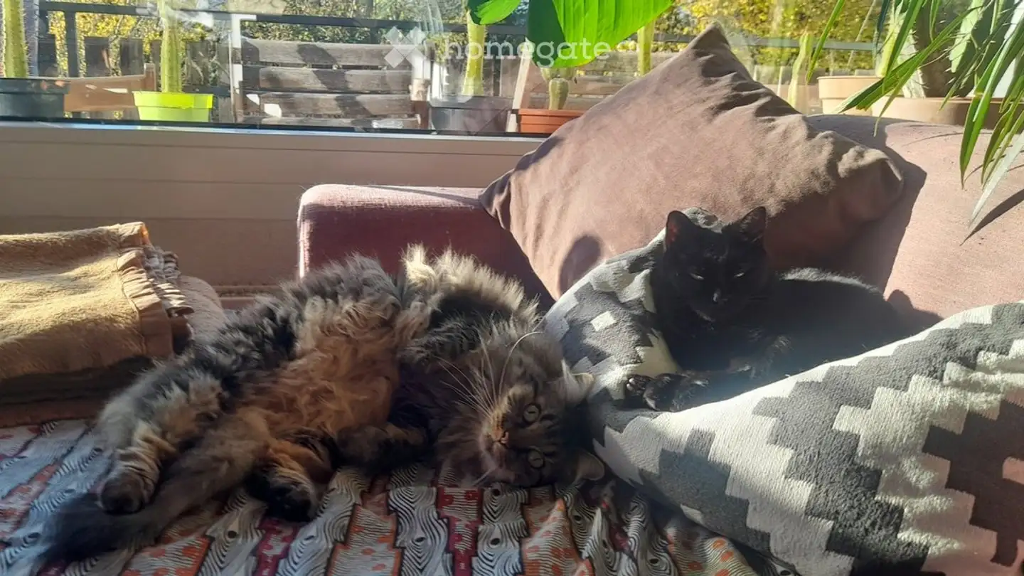 Zimmer mieten - La Fin Des Més, 1740 Neyruz FR - Foto 3