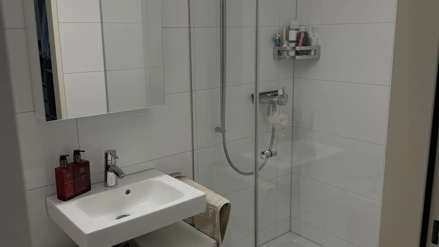 Wohnung mieten - Seestrasse 21, 8703 Erlenbach ZH - Foto 2