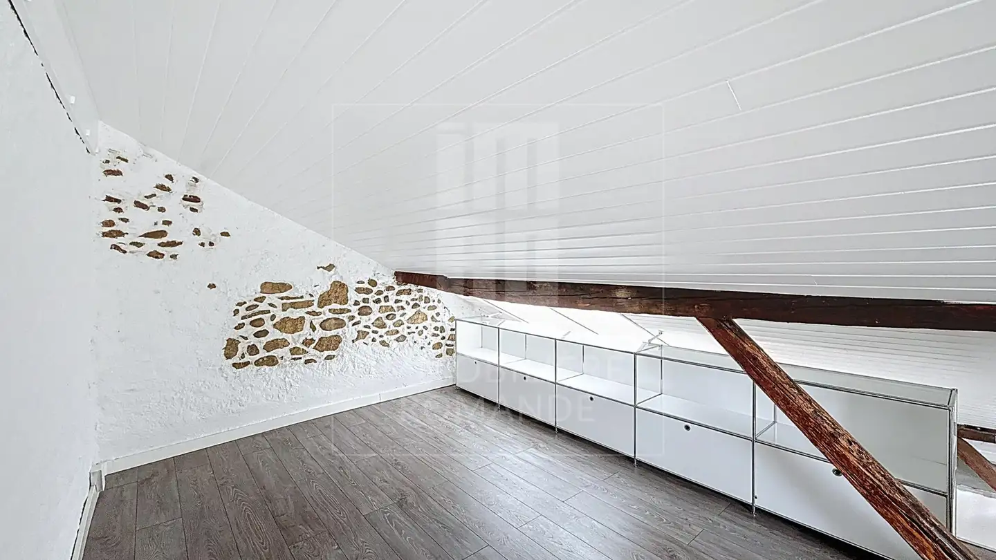 Attico in affitto - Route Du Mandement 139, 1242 Satigny - Foto 4