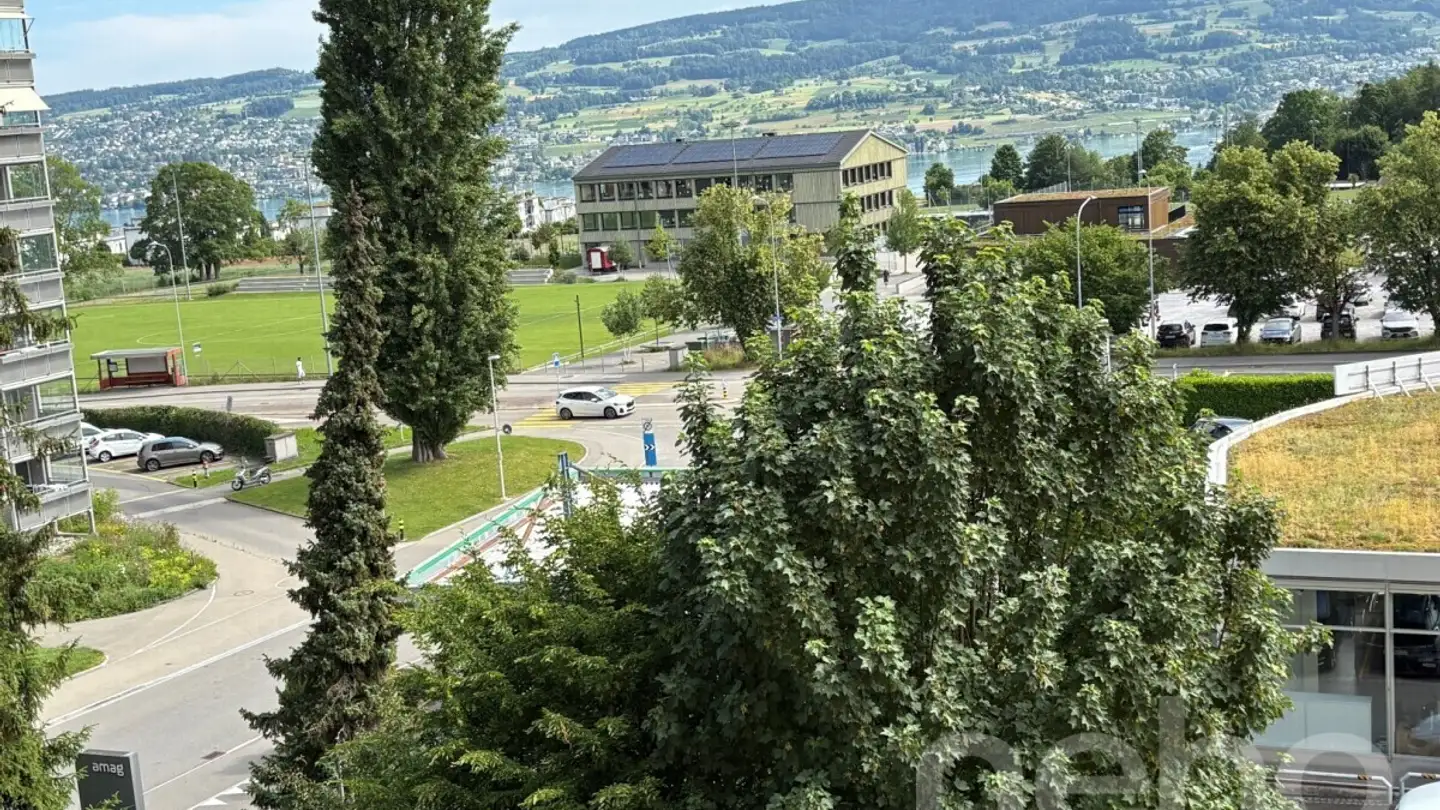 Wohnung kaufen - 8810 Horgen