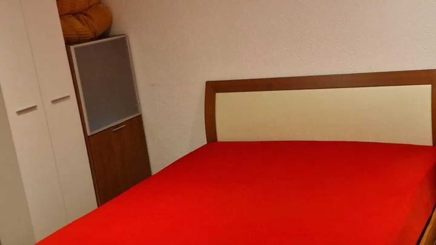 Furnished apartment for rent - 4058 Basel - Photo 2