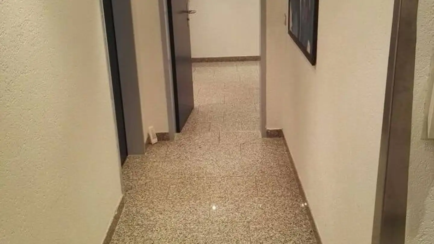 Furnished apartment for rent - 4058 Basel - Photo 4