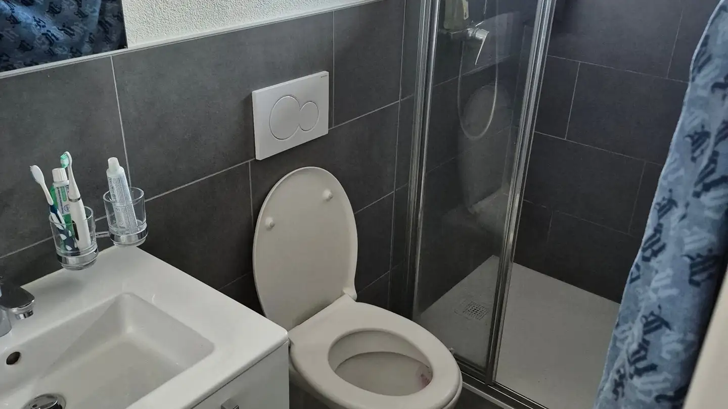 Apartment for rent - 6963 Pregassona - Photo 3