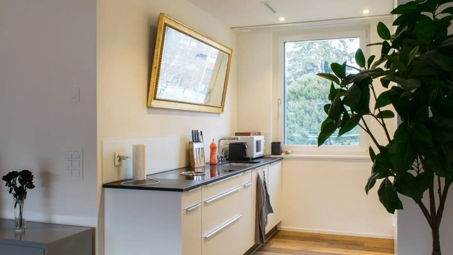 Apartment for rent - Badenerstrasse 3, 8952 Schlieren - Photo 4