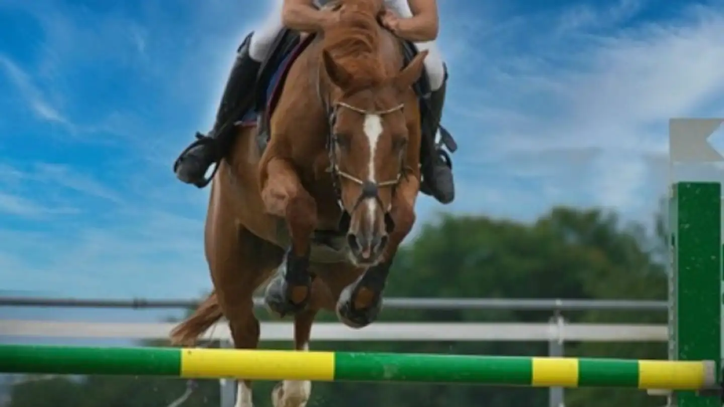 Negozio in vendita - 8266 Steckborn - Photo 2