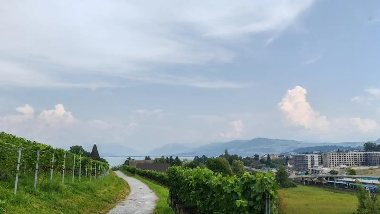 Apartment for rent - Seestrasse 291a, 8804 Au ZH - Photo 3