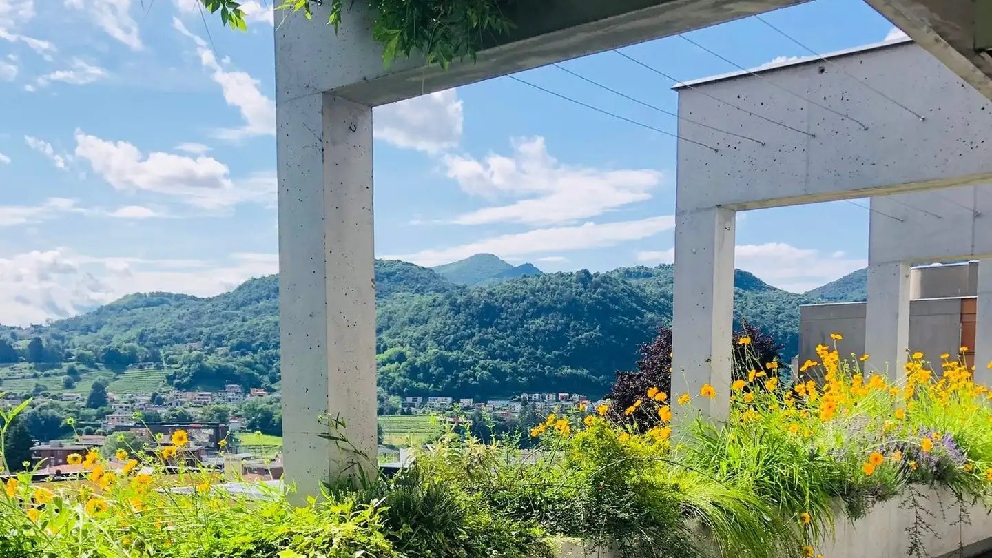 Attique à louer - Via Vincenzo Vela 10, 6850 Mendrisio - Photo 2