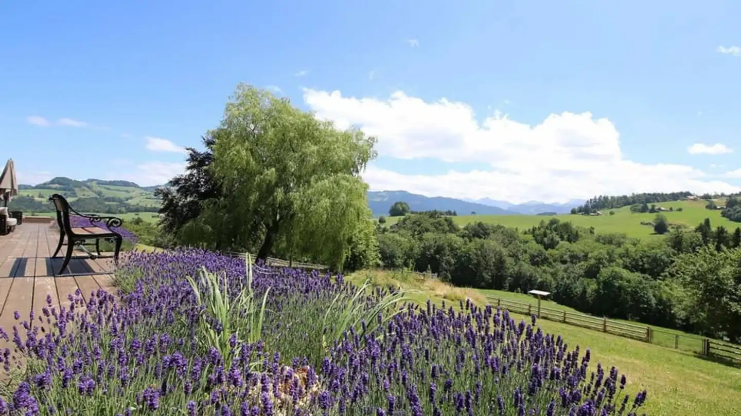 Maison individuelle à vendre - 1718 Rechthalten - Photo 2
