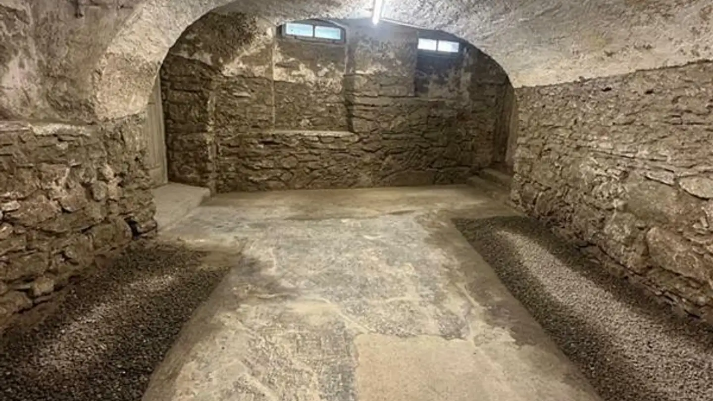 Cantina divisa in affitto - Mitteldorfstrasse, 5607 Hägglingen - Photo 3