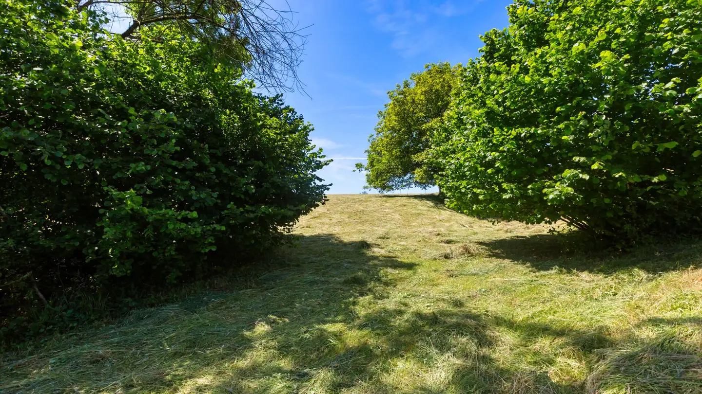Constructible plot for sale - 5304 Endingen - Photo 4