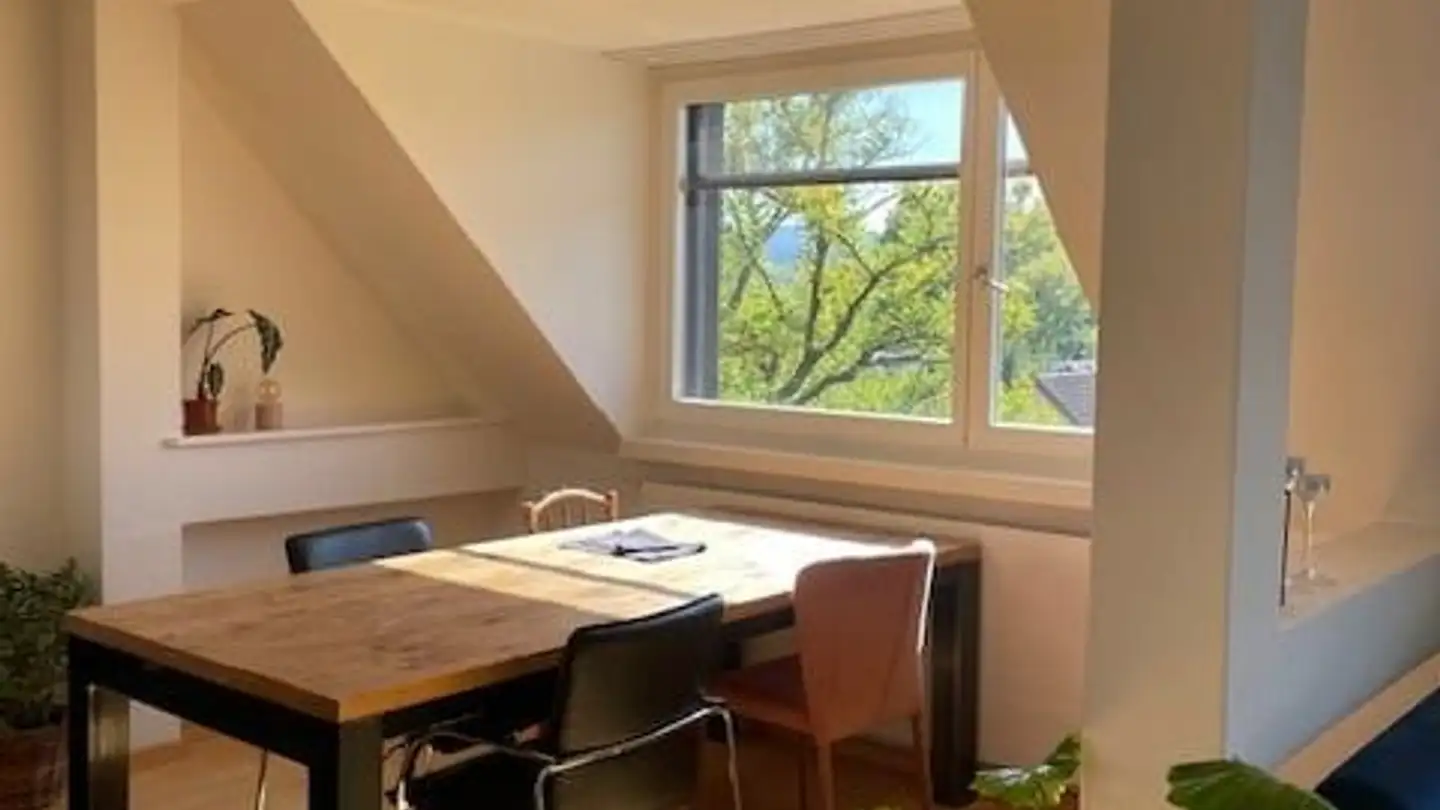 Wohnung mieten - Dufourstrasse 161, 8008 Zürich