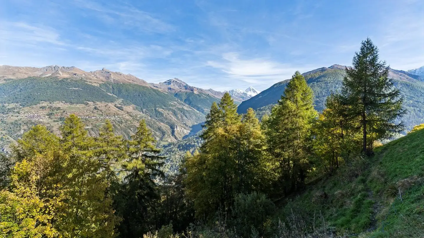 Chalet for sale - 1982 Euseigne