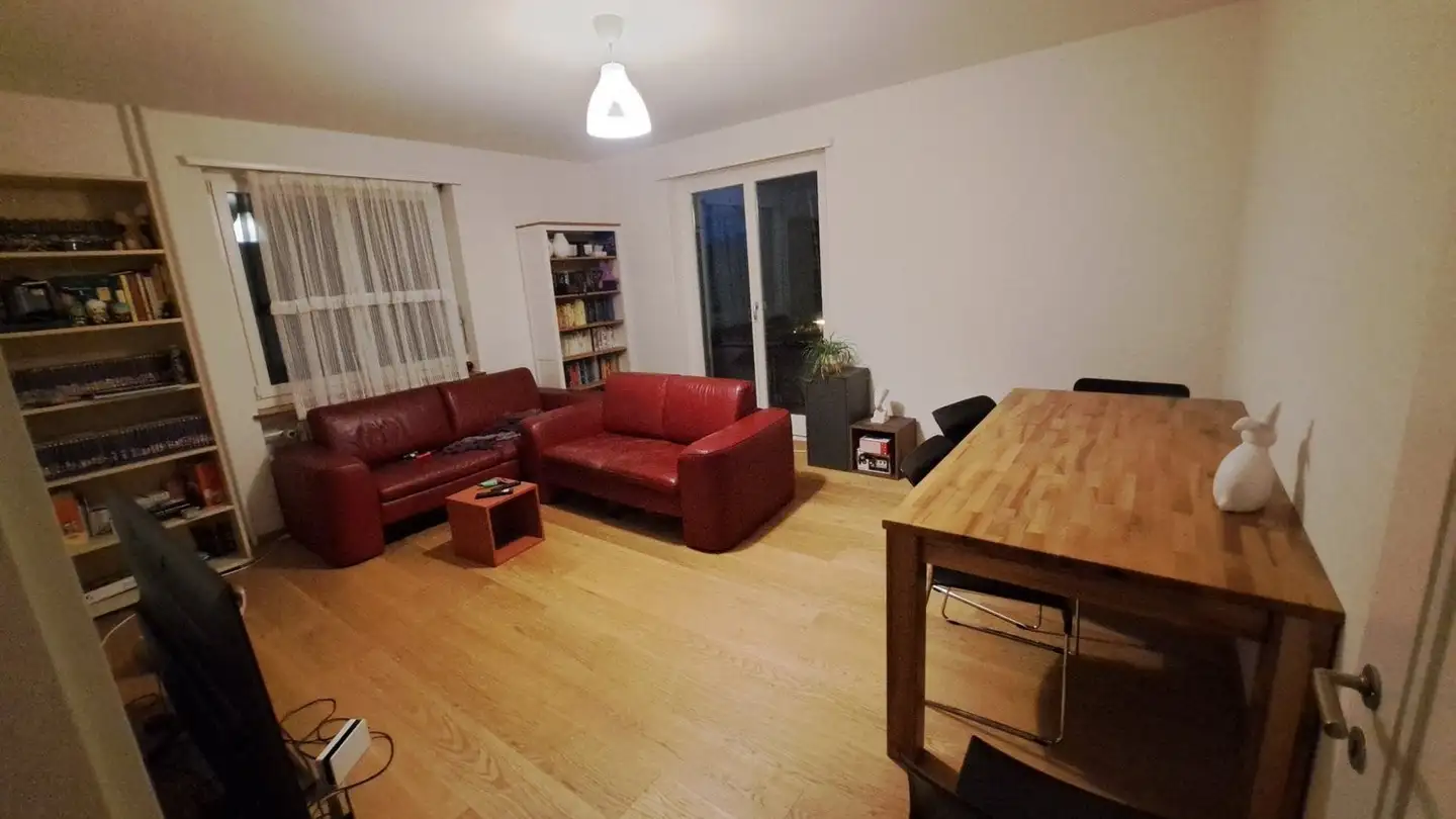 Single room for rent - Regensbergstrasse 301, 8050 Zürich - Photo 2