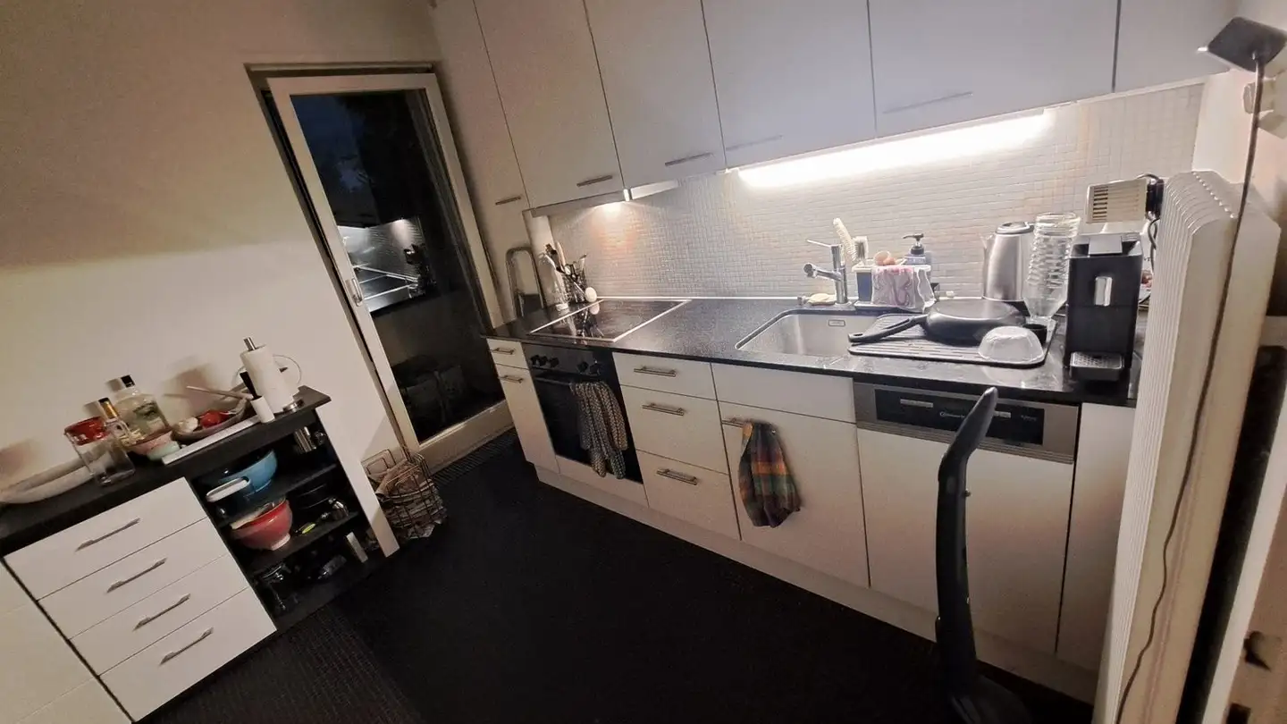 Single room for rent - Regensbergstrasse 301, 8050 Zürich - Photo 3