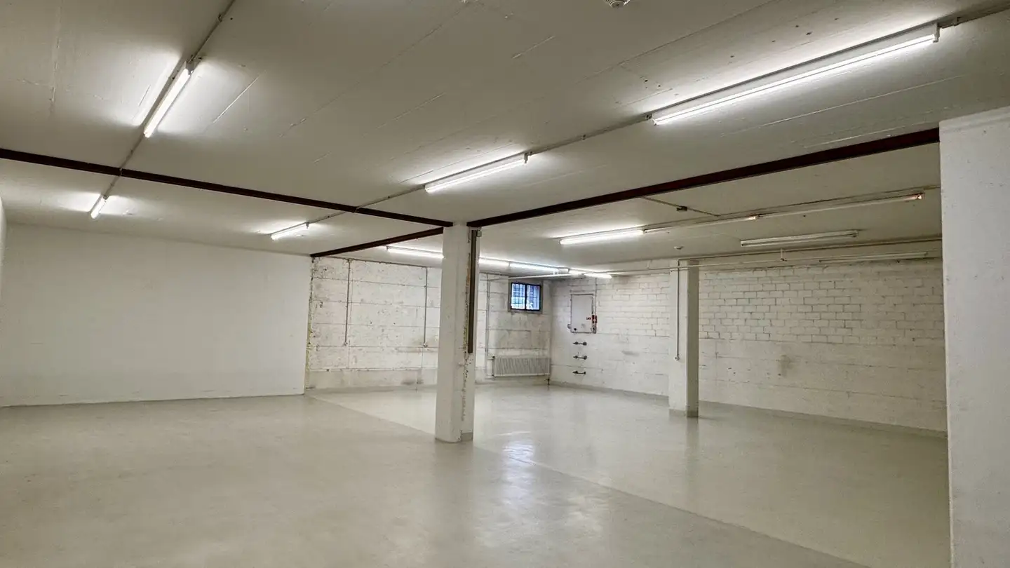 Commerciale in affitto - Werkstrasse, 8620 Wetzikon ZH