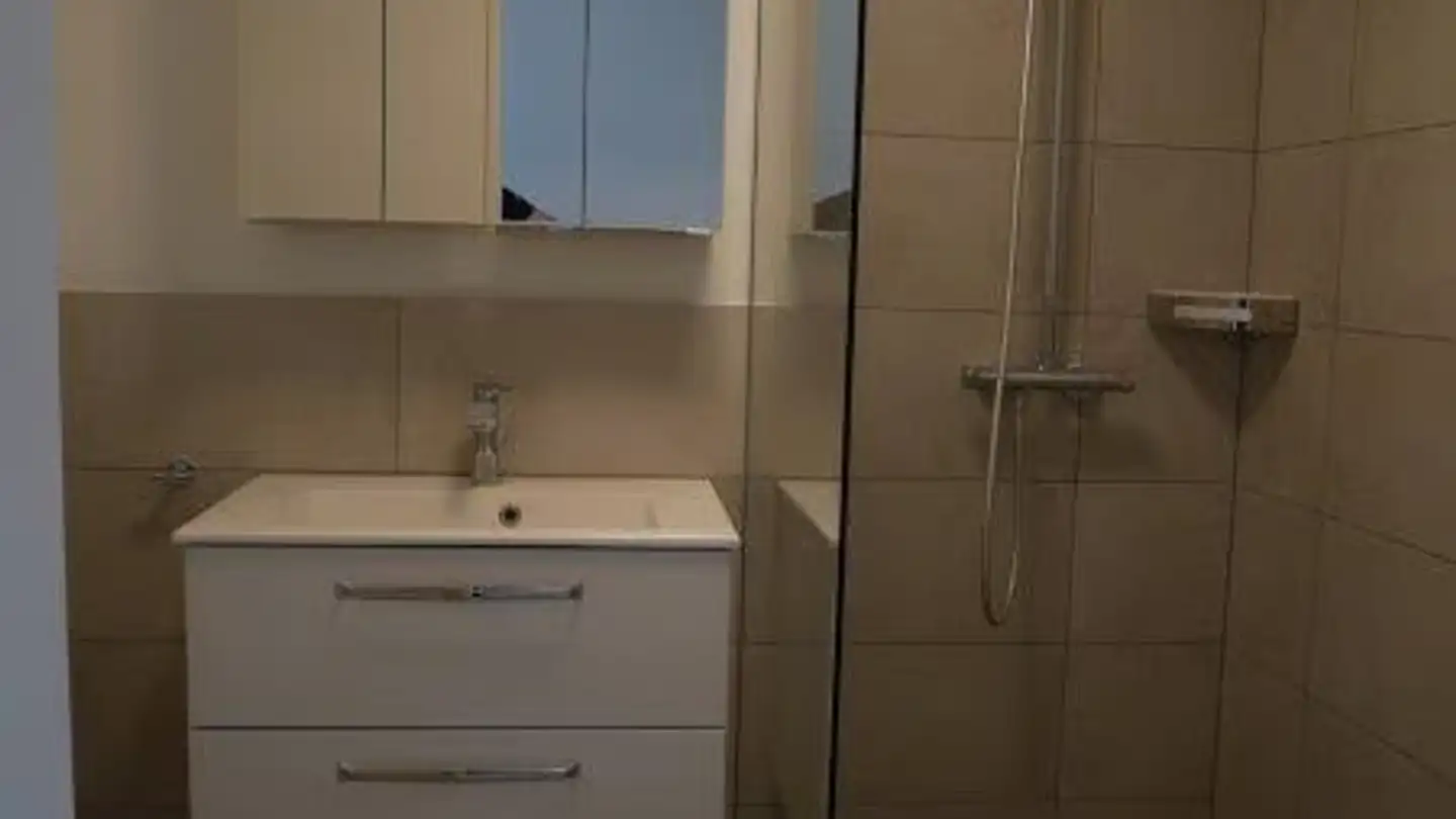Duplex à louer - Gontenschwilerstrasse 2b, 5727 Oberkulm - Photo 4