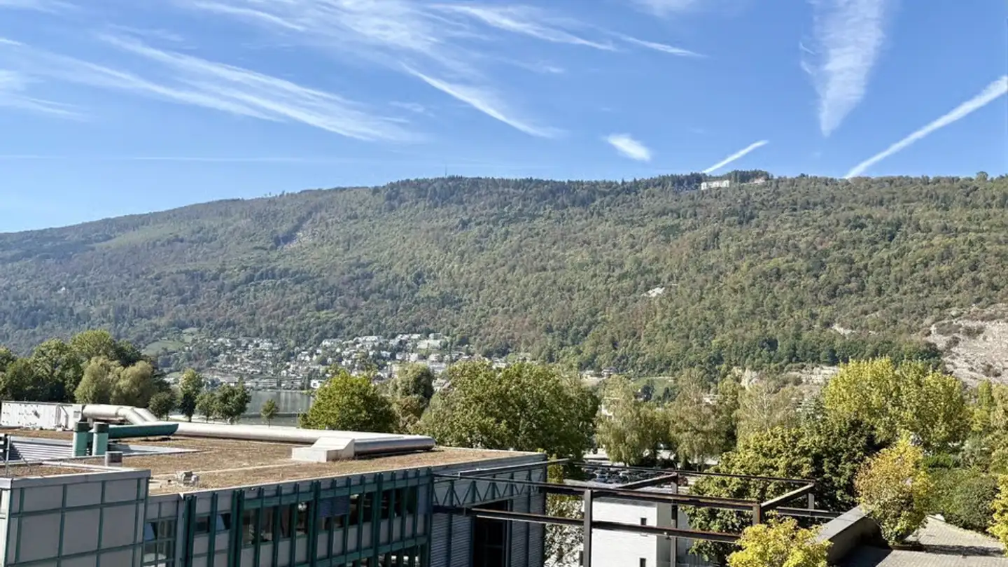 Appartement à louer - Dr.-Schneider-Strasse 2, 2560 Nidau