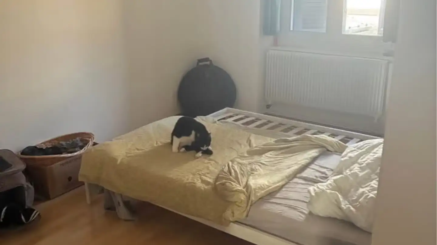 Appartement à louer - Rue Du Moulin 10, 2740 Moutier - Photo 3