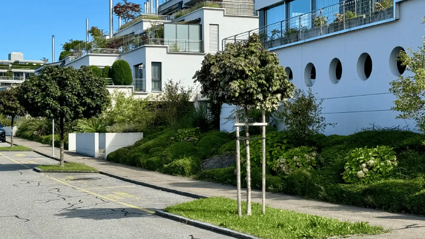 Stepped apartment for rent - Rebbergstrasse, 8832 Wollerau - Photo 2