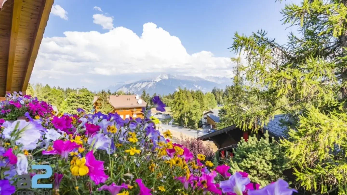 Apartment for rent - Chemin Des Coccinelles 12, 3963 Crans-Montana