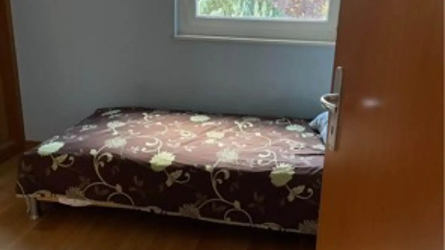 Chambre à louer - Chemin De La Charrue 3, 1218 Le Grand-Saconnex - Photo 2