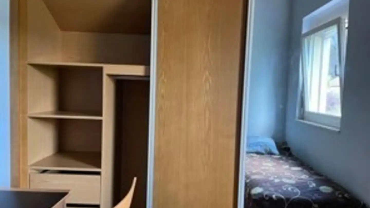 Chambre à louer - Chemin De La Charrue 3, 1218 Le Grand-Saconnex - Photo 3