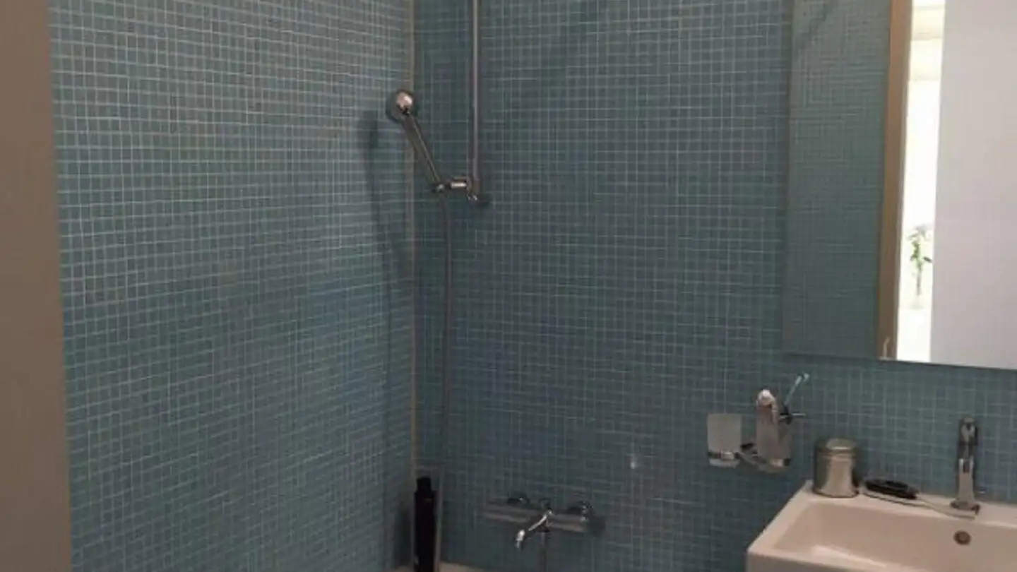 Wohnung mieten - Hohlstrasse 508, 8048 Zürich - Foto 4