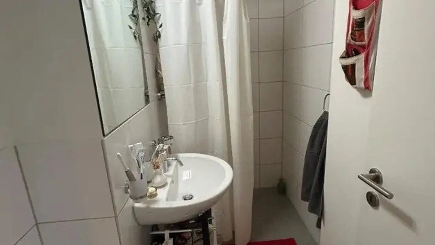 Wohnung mieten - Curt Goetz-Strasse 27, 4102 Binningen - Foto 3