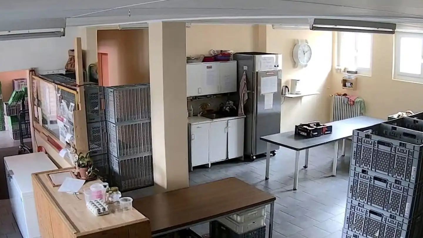 Commercial for rent - Rue de l'Etoile 1, 2300 La Chaux-de-Fonds - Photo 4