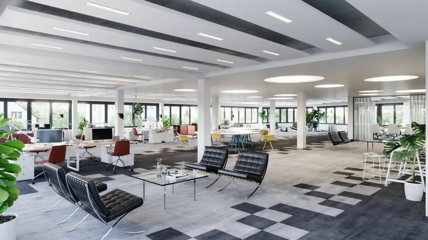 Commercial à louer - Zürcherstrasse 301, 8500 Frauenfeld - Photo 2