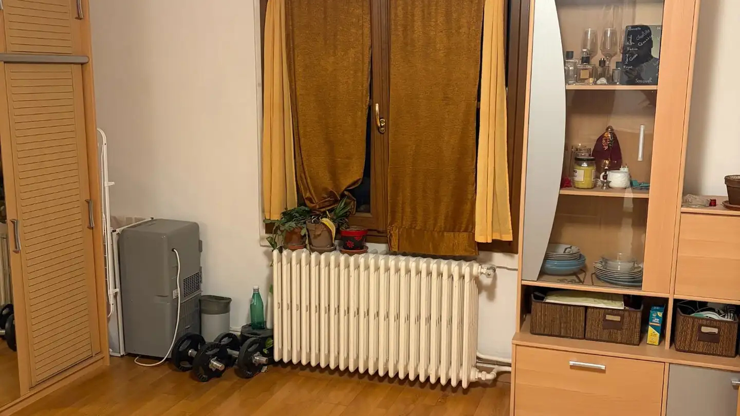 Wohnung mieten - Avenue De-Gallatin 6, 1203 Genève - Foto 3